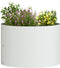vidaXL - Tuinbak - Wit - 30x30x20 - cm - Staal