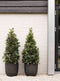 Capi Europe - Bloempot bol Row NL - 35x34 - Antraciet - Opening Ø29 - Bloempot voor binnen en buiten - Levenslang garantie - Breukbestendig - 100% Recyclebaar - CO2 Neutraal geproduceerd - KRWZ932