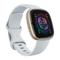 Fitbit Sense 2 Bluetooth 40 mm - Goud