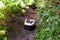 Segway Navimow i205 AWD - Robotmaaier - App-bediening Diefstalbeveiliging - 125m²