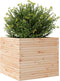vidaXL - Plantenbak - 80x80x68,5 - cm - massief - grenenhout