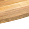 vidaXL - Tafelblad - ovaal - 80x40x2,5 - cm - massief - mangohout