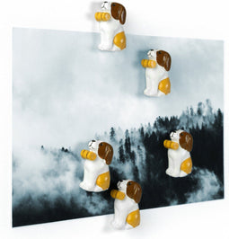 Trendform Magnet - Barry - set van 5 verschillende