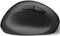 Perixx PERIMICE-719 L Ergonomische muis Radiografisch Zwart 800 dpi, 1200 dpi, 1600 dpi