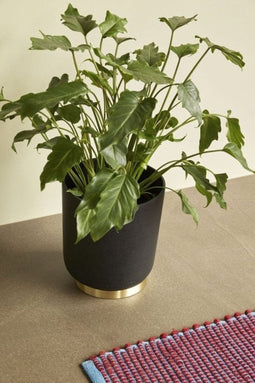 Hubsch Vloerkleed wol - blauw/bordeaux