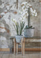 Mica Decorations Ascot Plantenstandaard - L33 x B33 x H89 cm - Hout - Lichtbruin