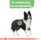 Royal Canin Digestive Care Medium - Hondenvoer - 3 kg