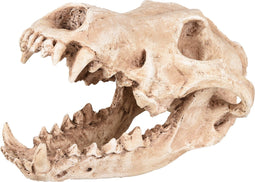 Flamingo Aquarium accessoire Skelo Schedel Roofdier - 24 x 13 x 13 cm