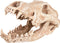 Flamingo Aquarium accessoire Skelo Schedel Roofdier - 24 x 13 x 13 cm