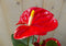 Flamingoplant Anthurium rood 60 cm
