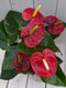 Flamingoplant Anthurium rood in taupe pot 40 cm