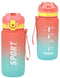 Fles met deksel en rietje Bewinner Multicolour 600 ml