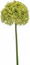 Fleurdirect Kunstbloem Allium - Kunststof - Groen - 0 x 90 x 0 cm (BxHxD)
