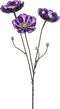 Fleurdirect Kunstbloem Anemone Gl Spray - - Paars - 30 x 75 x 0 cm (BxHxD)