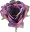 Fleurdirect Kunstbloem Rose Zoe Spray - - Paars - 13 x 68 x 0 cm (BxHxD)
