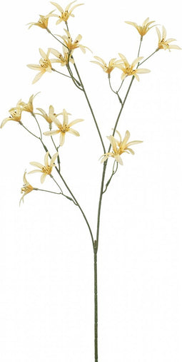 Fleurdirect Kunstbloem Tweedia - Polyester - Geel - 0 x 69 x 0 cm (BxHxD)