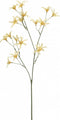 Fleurdirect Kunstbloem Tweedia - Polyester - Geel - 0 x 69 x 0 cm (BxHxD)