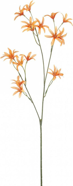 Fleurdirect Kunstbloem Tweedia - Polyester - Oranje - 0 x 69 x 0 cm (BxHxD)