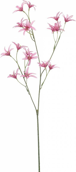 Fleurdirect Kunstbloem Tweedia - Polyester - Roze - 0 x 69 x 0 cm (BxHxD)