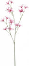 Fleurdirect Kunstbloem Tweedia - Polyester - Roze - 0 x 69 x 0 cm (BxHxD)