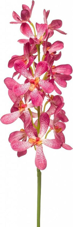 Fleurdirect Kunstbloem Vanda Spray - Overig - Roze - 0 x 80 x 0 cm (BxHxD)