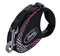 FLEXI Glam Composition with Swarovski crystals S - Dog Retractable lead - 3 m - black