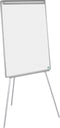 Flipchart Bisilque Euro Earth-it