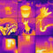 FLIR ONE PRO Next Gen - Warmtemeter - Voor Android (USB-C) Apparaten - Zwart
