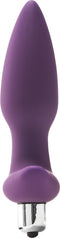FLIRTS 10 FUNCTIONS VIBRATING PLUG PURPLE