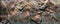 Juwel Poster 2 in 1 - Aquariumachterwand - 60 x 30 cm