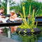 Floating Plant island rond 25 cm