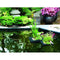 Floating Plant Island vierkant 25 cm