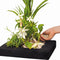Floating Plant Island vierkant 35 cm