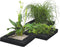 Floating Plant Island vierkant 35 cm