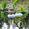Floating Pond Light