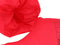 Floaty Friends puddle jumper - Schelp | Kinderzwemvest | Praktisch en comfortabel zwemhulpmiddel | 15-30 kg | 2-6 jaar