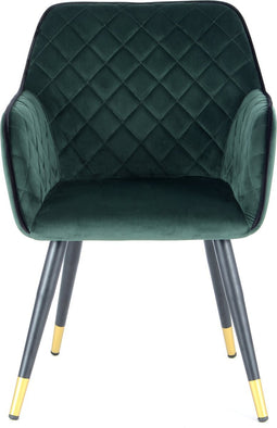 Floraya - Vietavie stoel - Amino - Groen/Zwart - 61x59x86cm (LxBxH) - Belastbaar gewicht tot 120KG