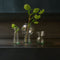 Flower vase recycled glass By Mieke Cuppen L Transparent / Recycled glass