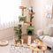 SureDeal® - Cactus Krabpaal - 160 cm - Pluche - Sisal - 4 Niveaus - Groen/Bruin - Anti-kantelband