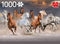 PC Desert Horses 1000pcs