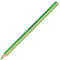 Fluoriscerende Markeerstift Staedtler Textsurfer Dry Groen (12 Stuks)