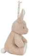 Little Dutch Newborn - Knuffelkonijn Licht & Geluid - Bruin