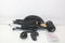 Chicco Buggy Liteway 4 - Jet Black