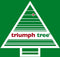 Triumph Tree Pittsburgh Guirlande - L270 cm - Groen