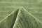 MOMO Rugs Panorama Uni Green Vloerkleed - 250x350 - Rechthoek - Laagpolig Tapijt - Modern - Groen