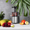 MPM MSO-12M - Slowjuicer - RVS - 1 Liter - Stille werking