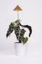 Parus by Venso SUNLiTE Kweeklamp 7W koper, LED groeilamp met telescopische staaf, groeilamp voor kamerplanten en groene planten