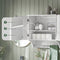 SoBuy BZR84-W - Badkamerkast - 2 Planken & Deuren - Wit