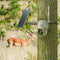 Reolink KEEN Ranger PT - Bewakingscamera - 2560x1440 Quad HD - Bewegingsdetectie IR-nachtzicht (10m)