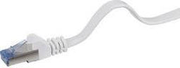 Renkforce RF-4149834 RJ45 Netwerkkabel, patchkabel CAT 6A U/FTP 25.00 cm Grijs Zeer flexibel, Snagless, Vlambestendig 1 stuk(s)